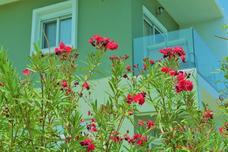 Aparthotel Anelia Boutique & 3*